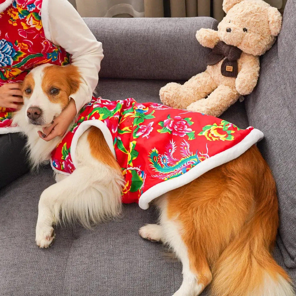 Winter Clothing Name - Зимняя одежда для собак 2025 года,