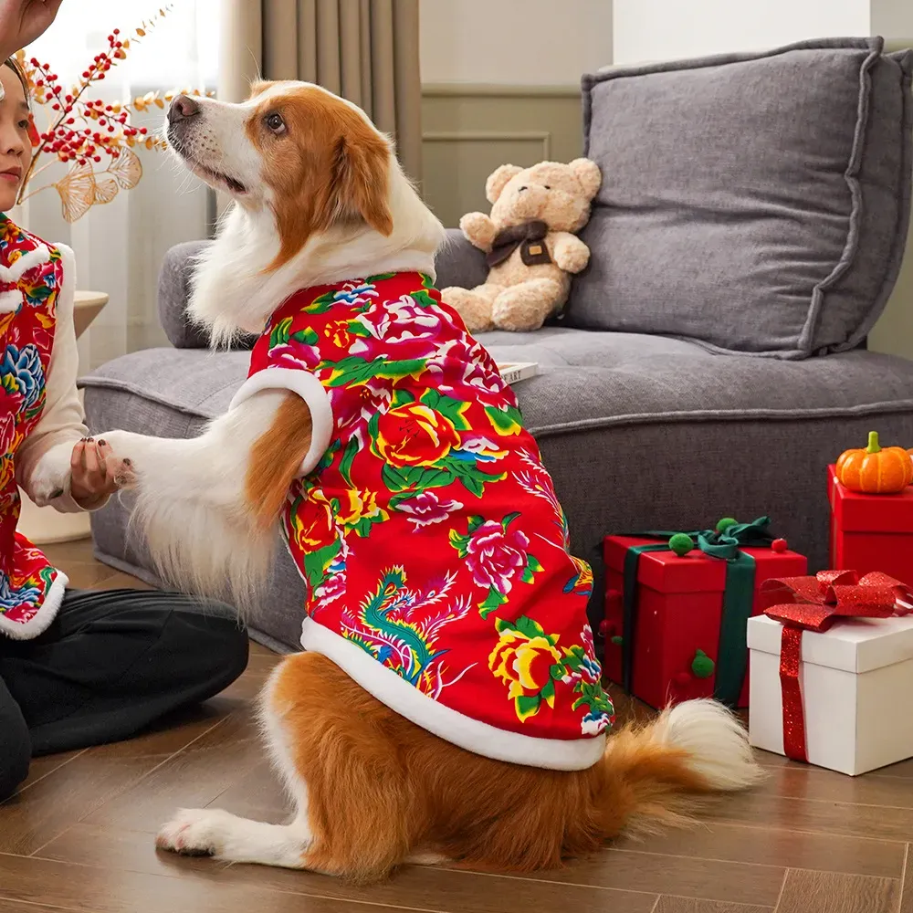 Зимняя одежда для собак 2025 г – обзор и цена Winter Clothing Name